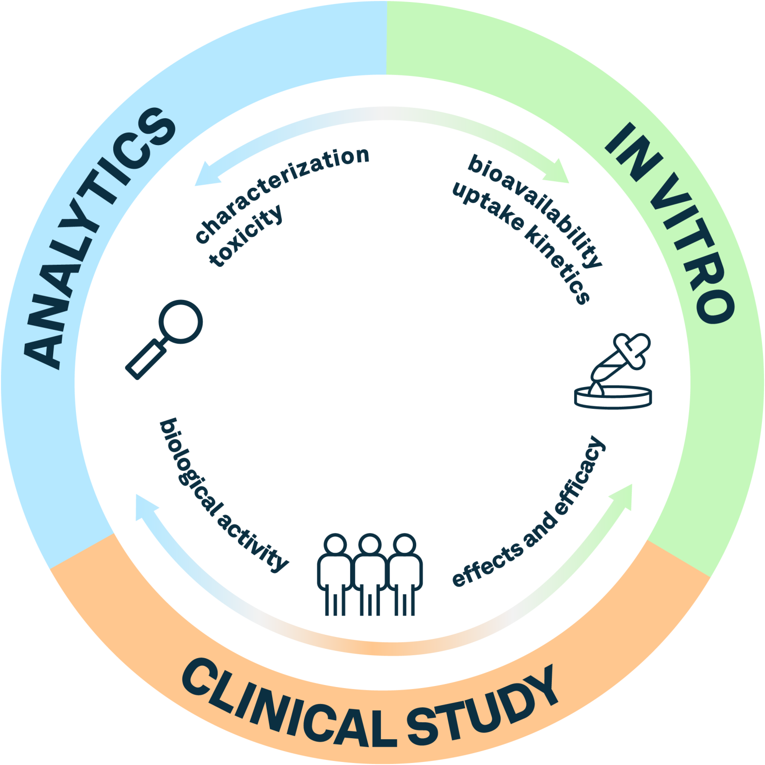 Circular infographic showing an integrated study workflow across Analytics, In‑Vitro Study, and In‑Vivo Study. Inner steps highlight controlled conditions, bioactivity screening, cell‑based analysis, and clinical outcomes, supporting end‑to‑end, independent testing for regulated, quality‑critical product development and compliance. Circular infographic showing an integrated study workflow across Analytics, In‑Vitro Study, and In‑Vivo Study. Inner steps highlight controlled conditions, bioactivity screening, cell‑based analysis, and clinical outcomes, supporting end‑to‑end, independent testing for regulated, quality‑critical product development and compliance.