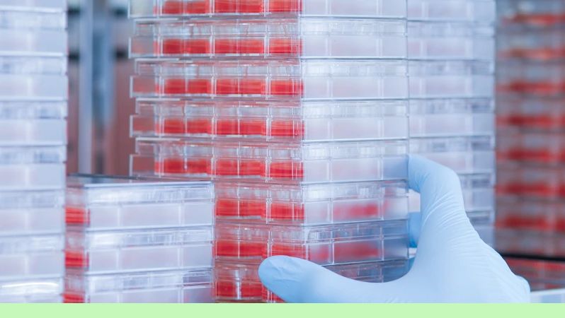 CERTANIA_Biotesys_AI_in-vitro-testsystem